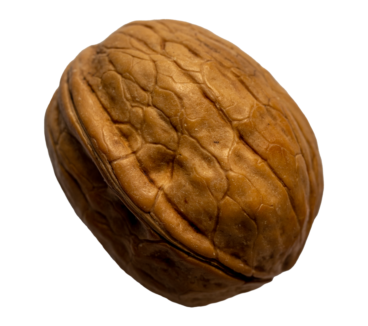 Walnut transparent background png