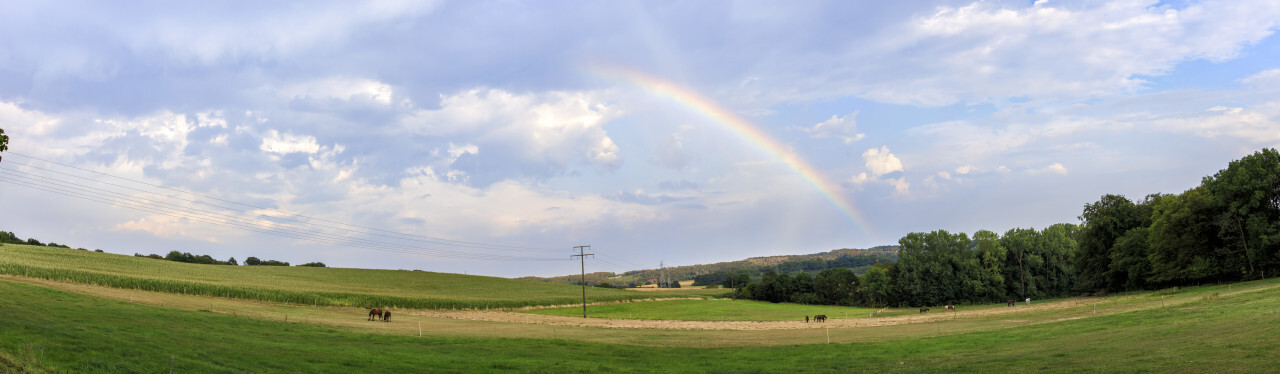 Rainbow over a rural landscape with horses and fields in Germany near Velbert Langenberg, Neviges in North Rhine Westphalia