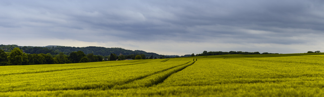 fields rural landscape in germany, nrw