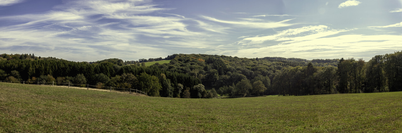 Rural Landscape in Germany