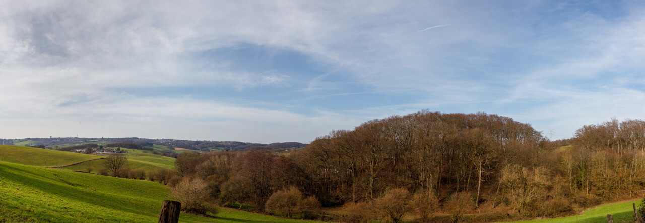 A small piece of forest surrounded by fields