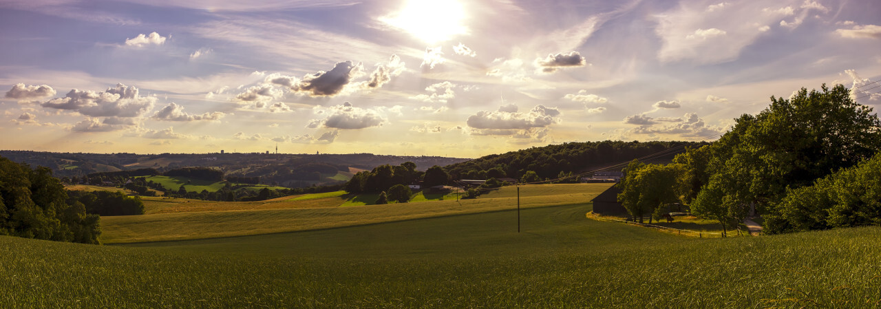 Fields during the golden hour - Rural Landscape in Germany