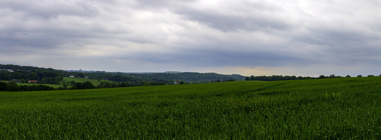 rural landscape