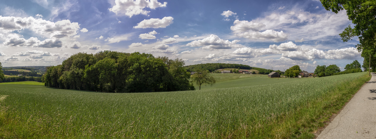 German rural landscape near Velbert Langenberg with fields and hills and a Farm in Background