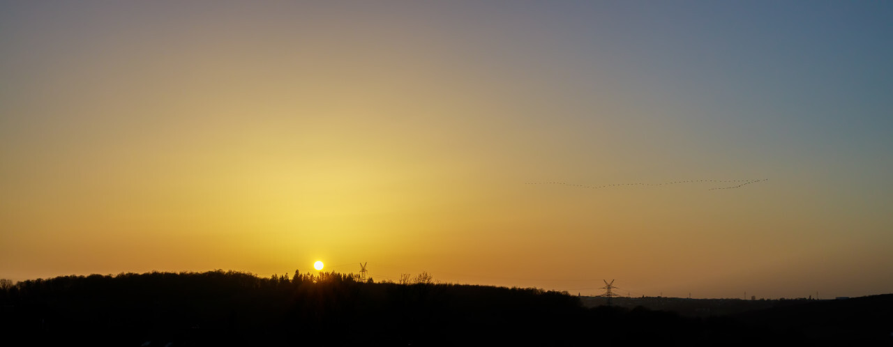 Flock of birds return from the south at sunset