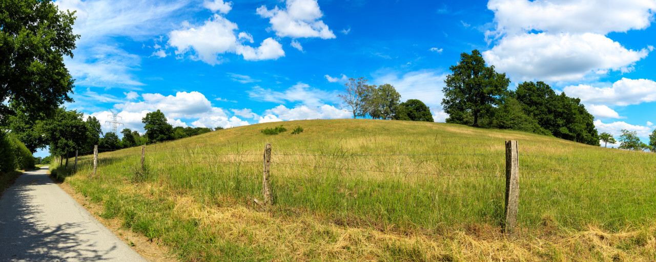 Fields in Summer - North Rhine Westphalia by Germany