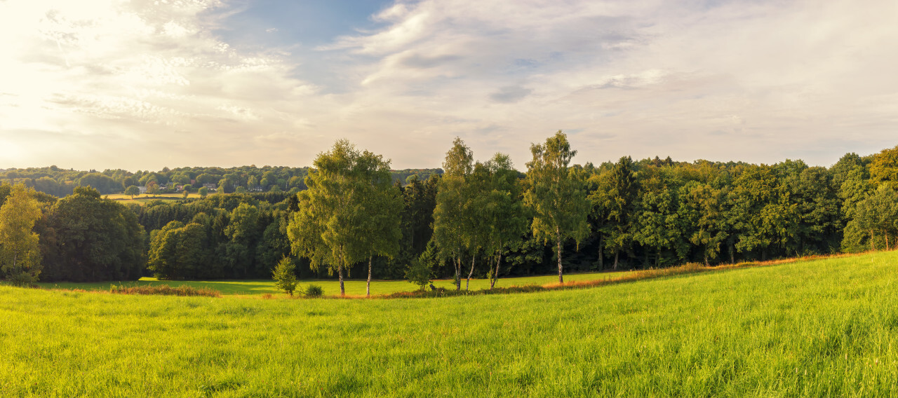 German Rural Landscape in Wuppertal Ronsdorf