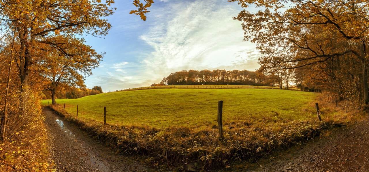 German rural Landscape Panorama on a dirtroad