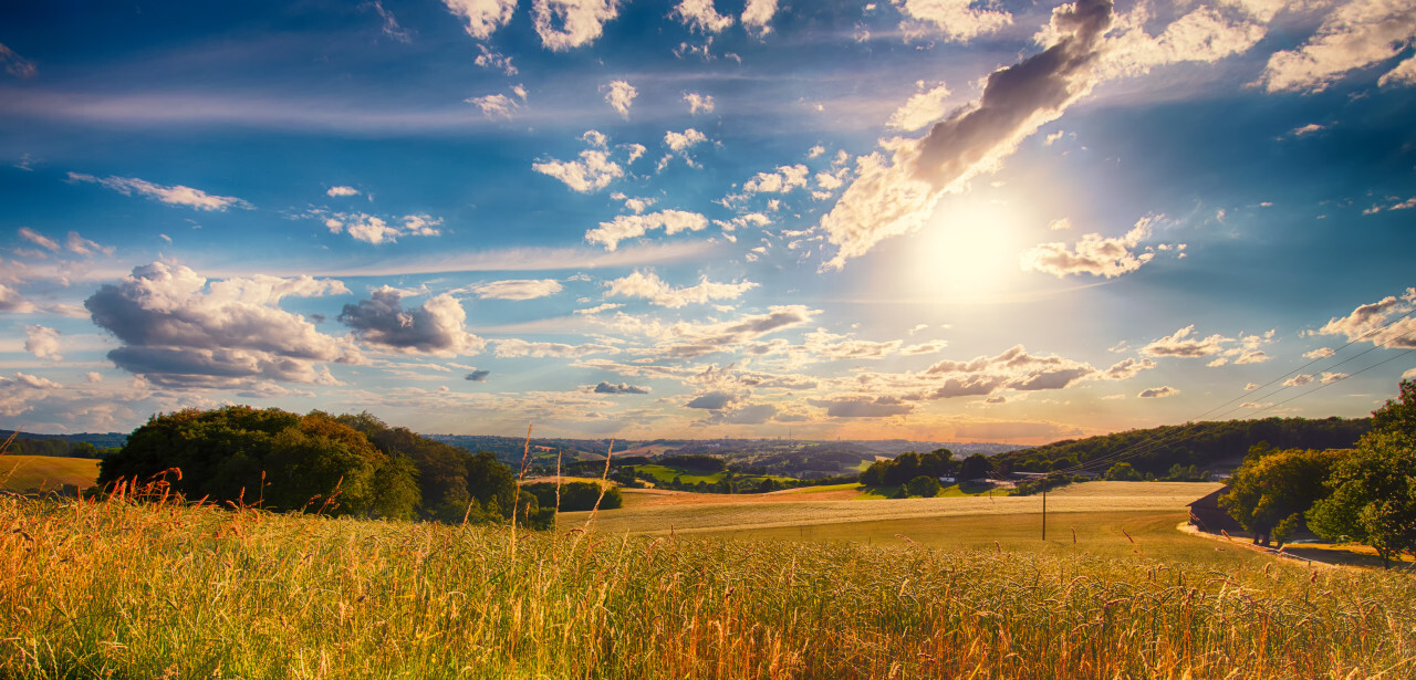 Velbert Langenberg Fields during the golden hour - Rural Landscape in Germany HDR Image Panorama