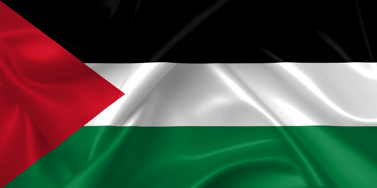 flag of state of palestine