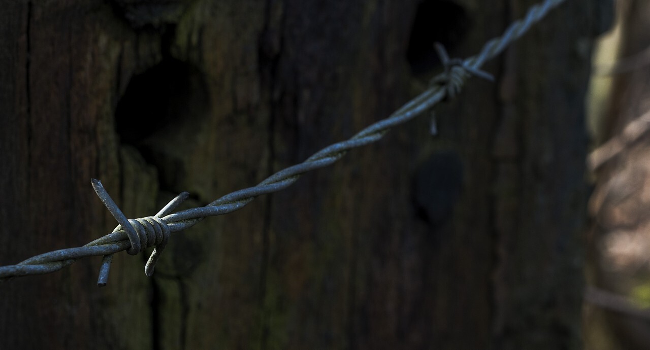 barbed wire