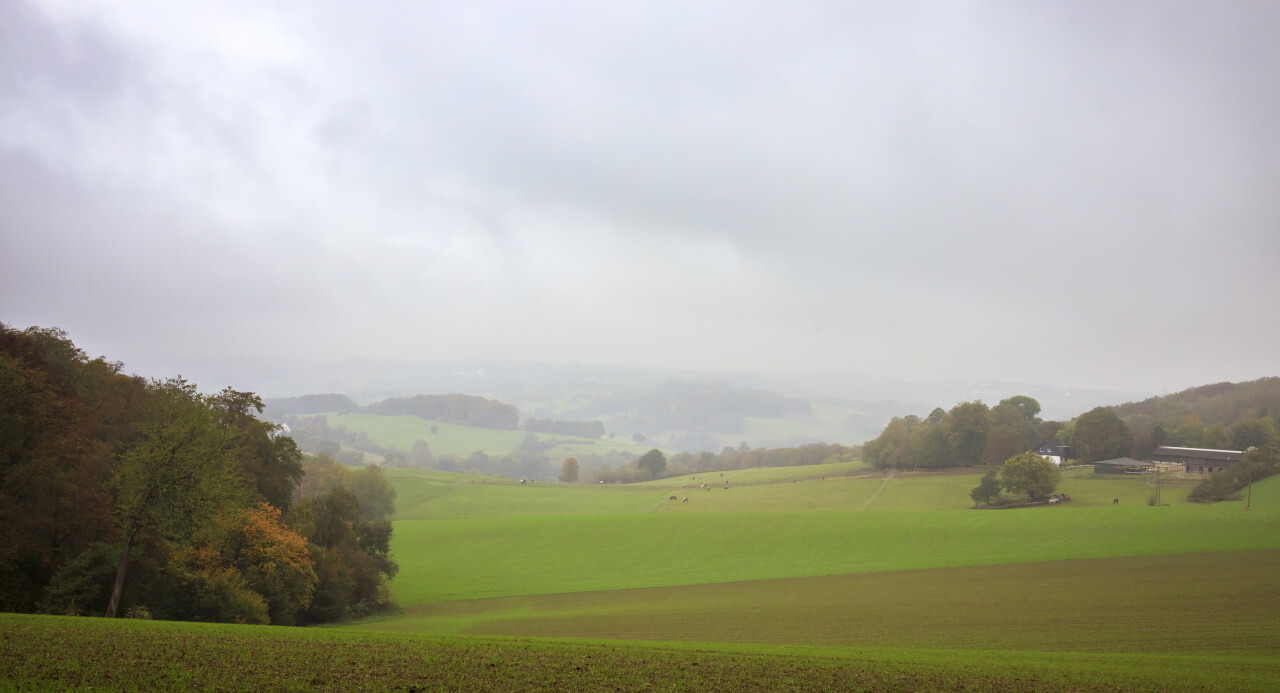 Rural landscape shrouded in fog