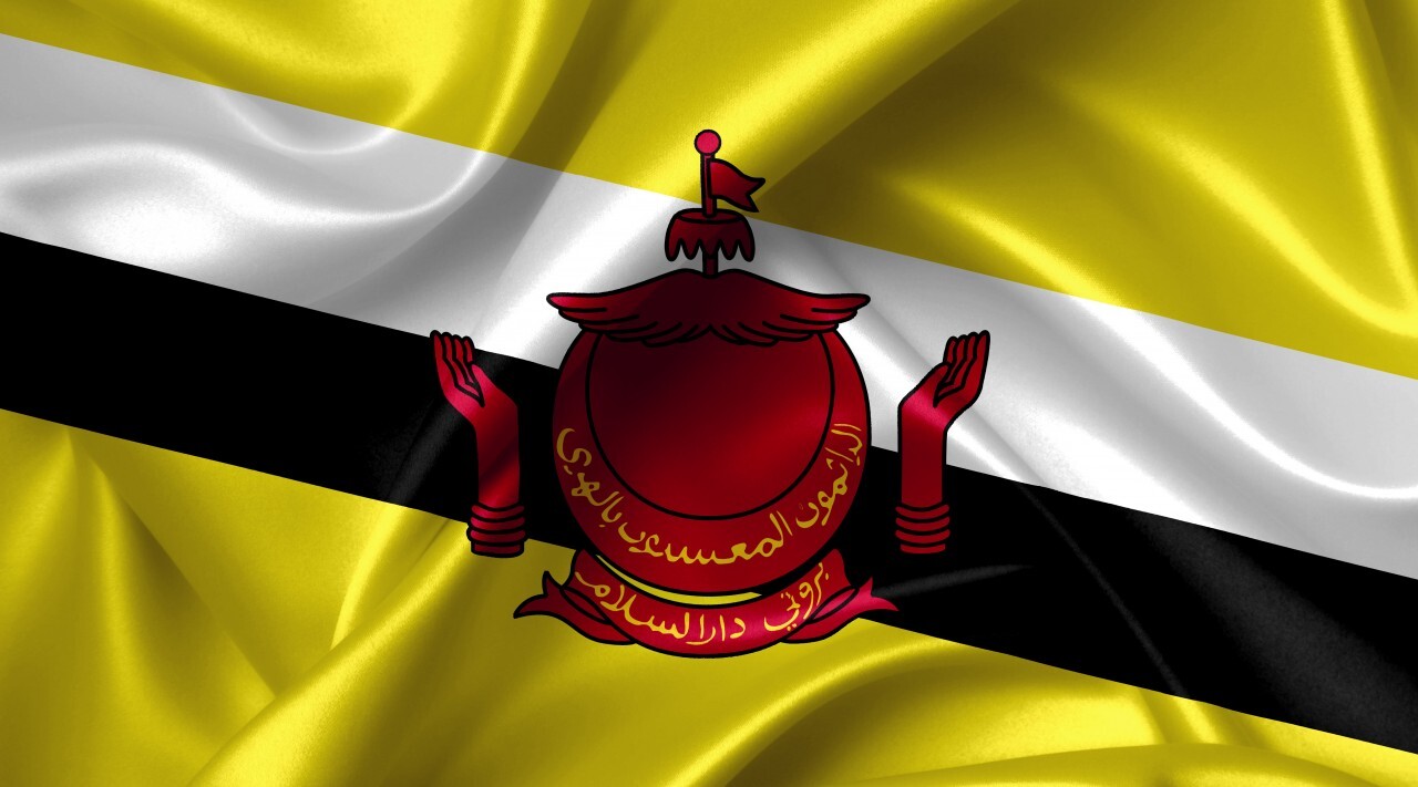 brunei flag