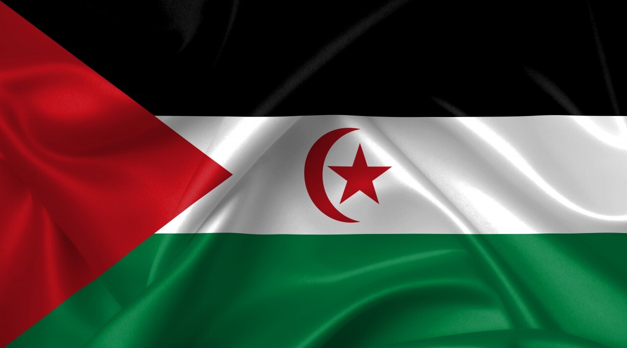 flag of western sahara