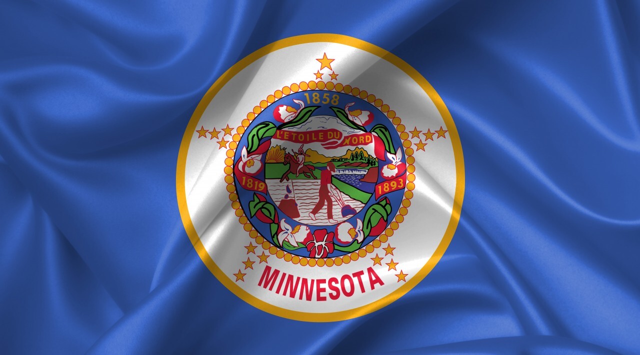 minnesota flag