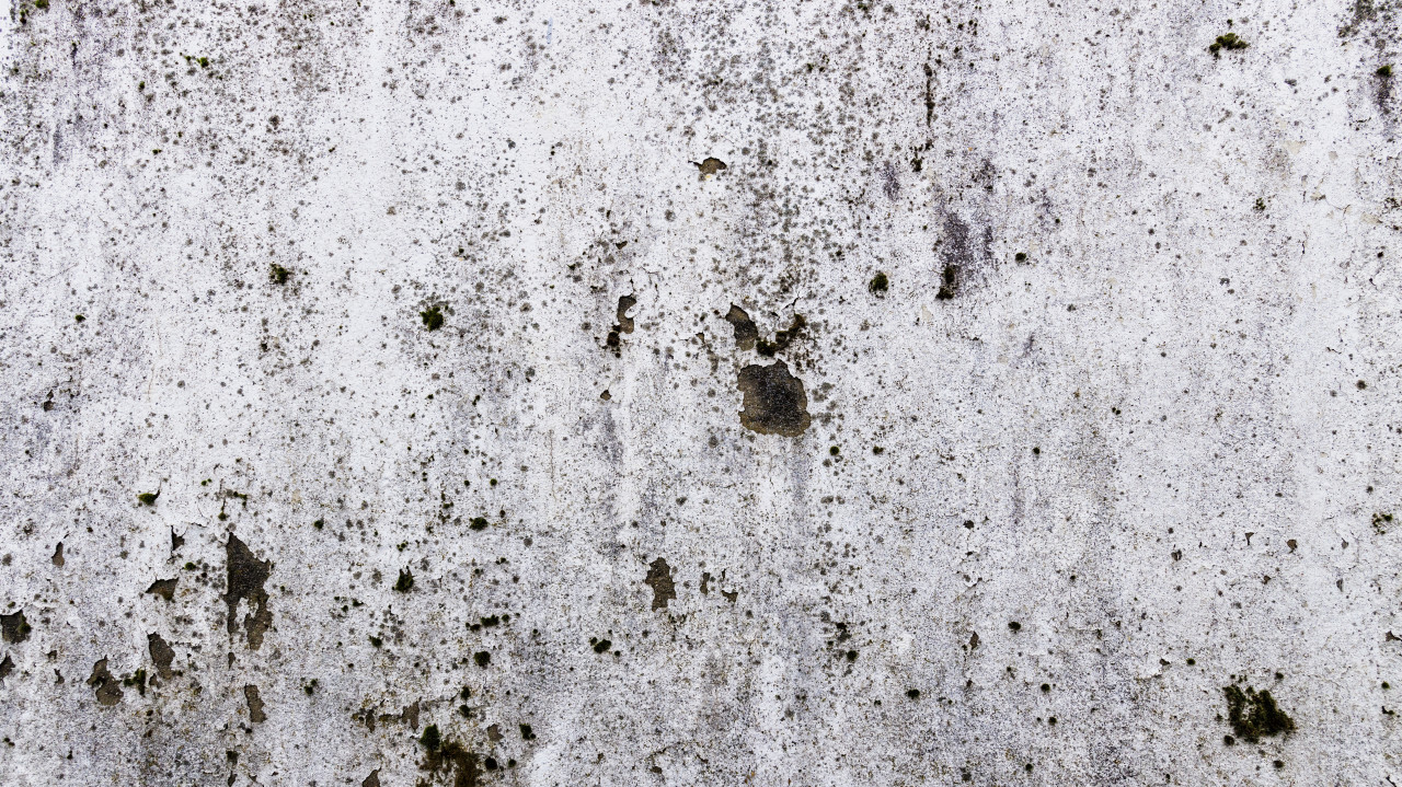 white grunge textured wall