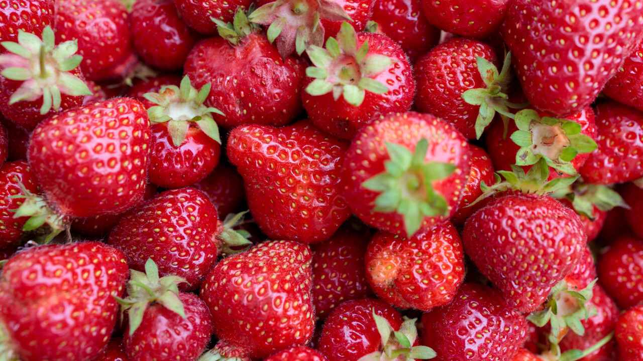 Strawberries background