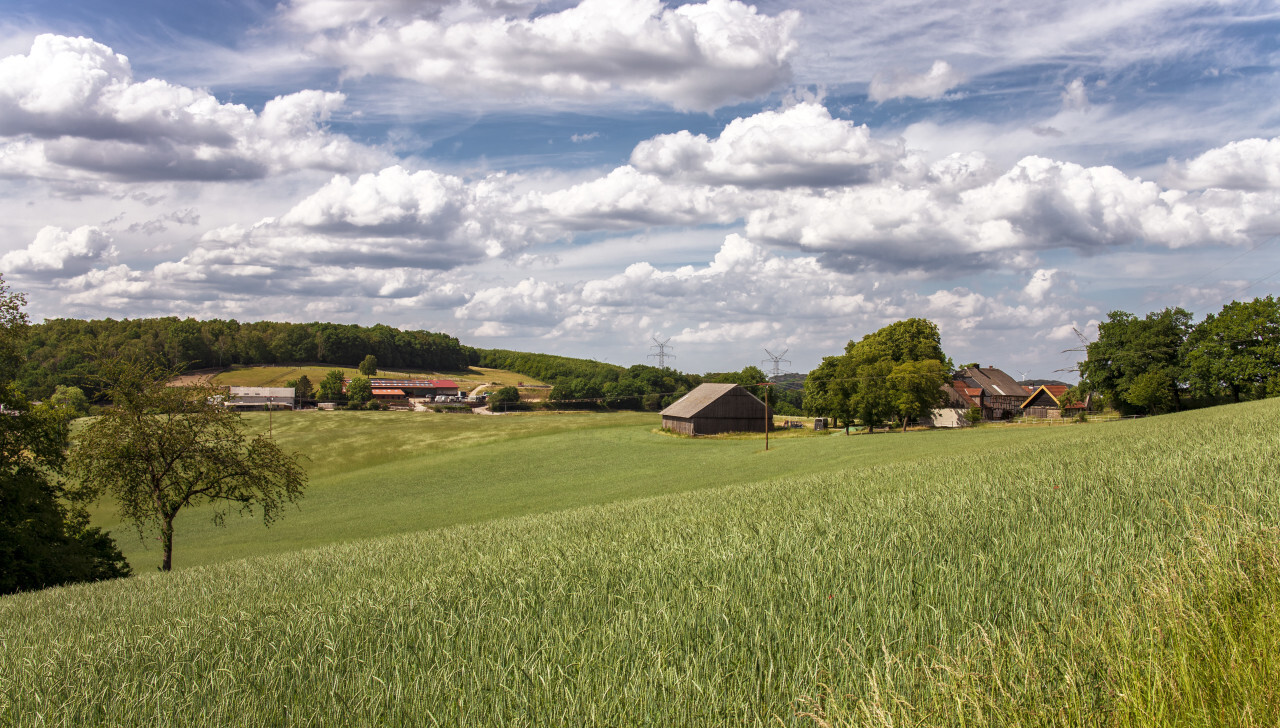 German rural landscape near Velbert Langenberg with fields and hills and a Farm in Background
