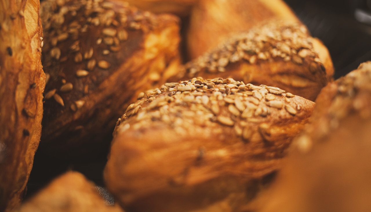 Assortment of breads still life