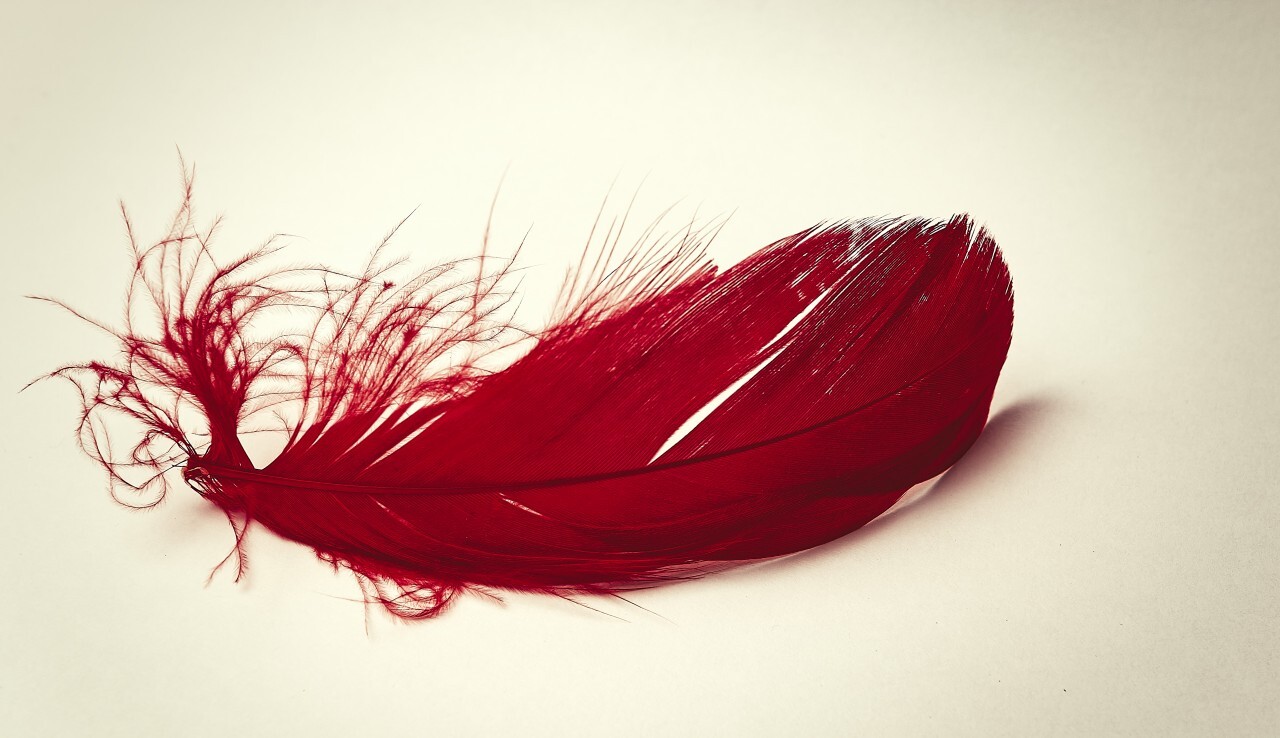 red feather