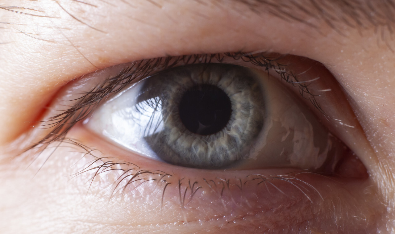 Human blue eye close-up