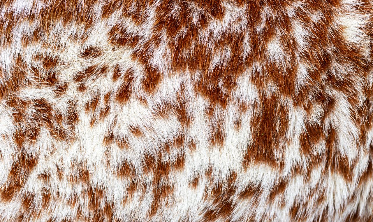 Cowhide Texture