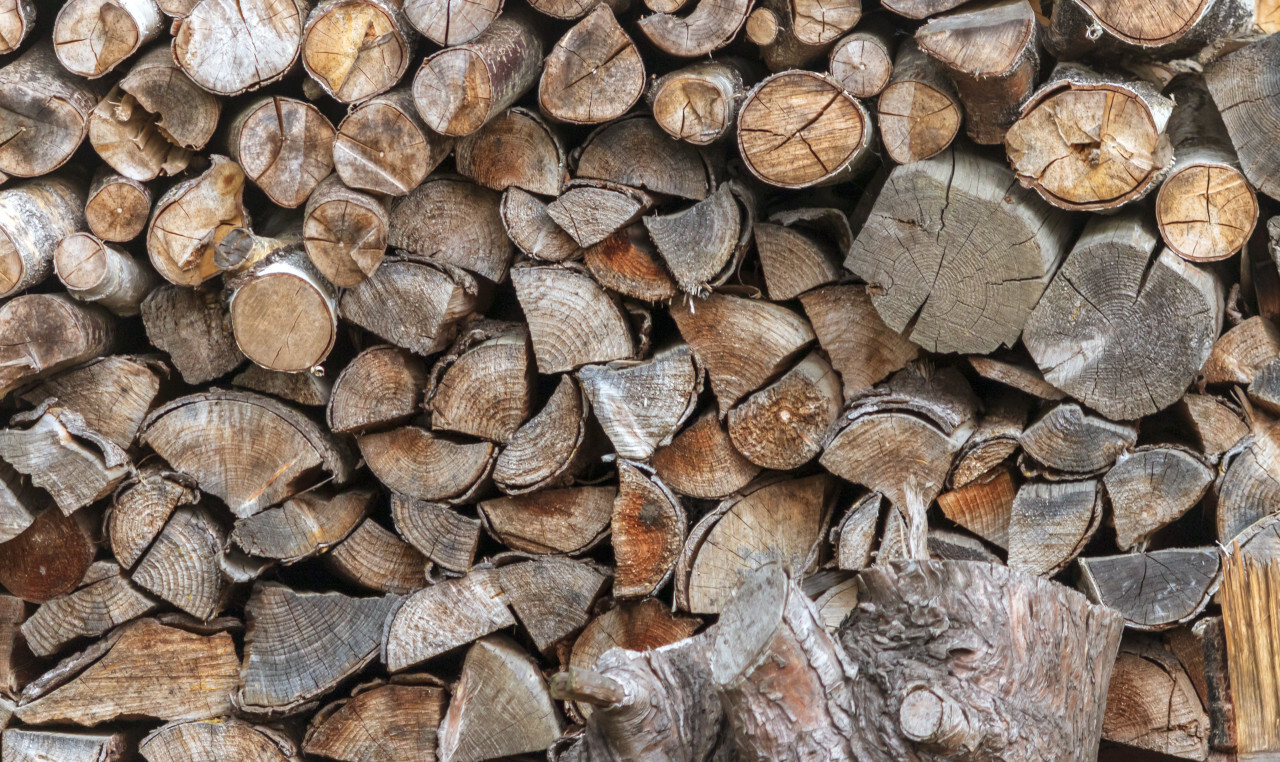 firewood pile brown