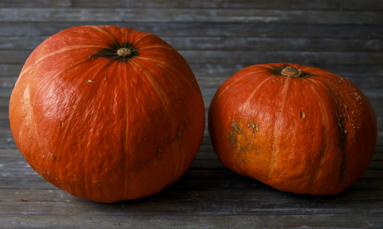 Two Pumpkins on wooden background