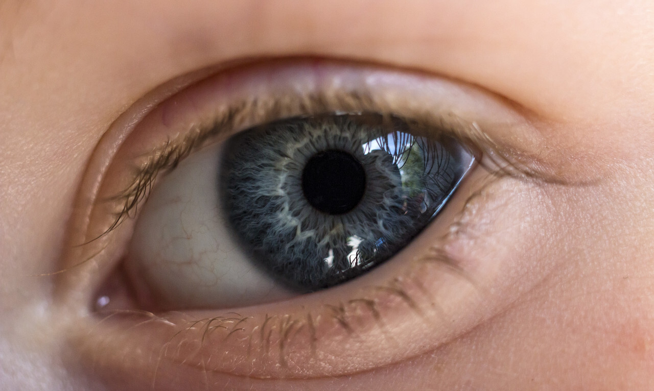 beautiful blue eye of a child