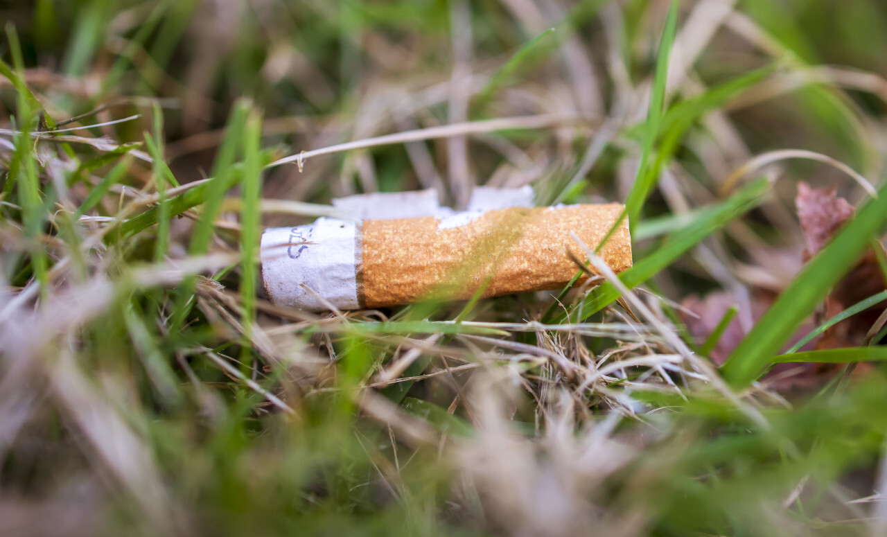 Cigarette butt was left on a meadow