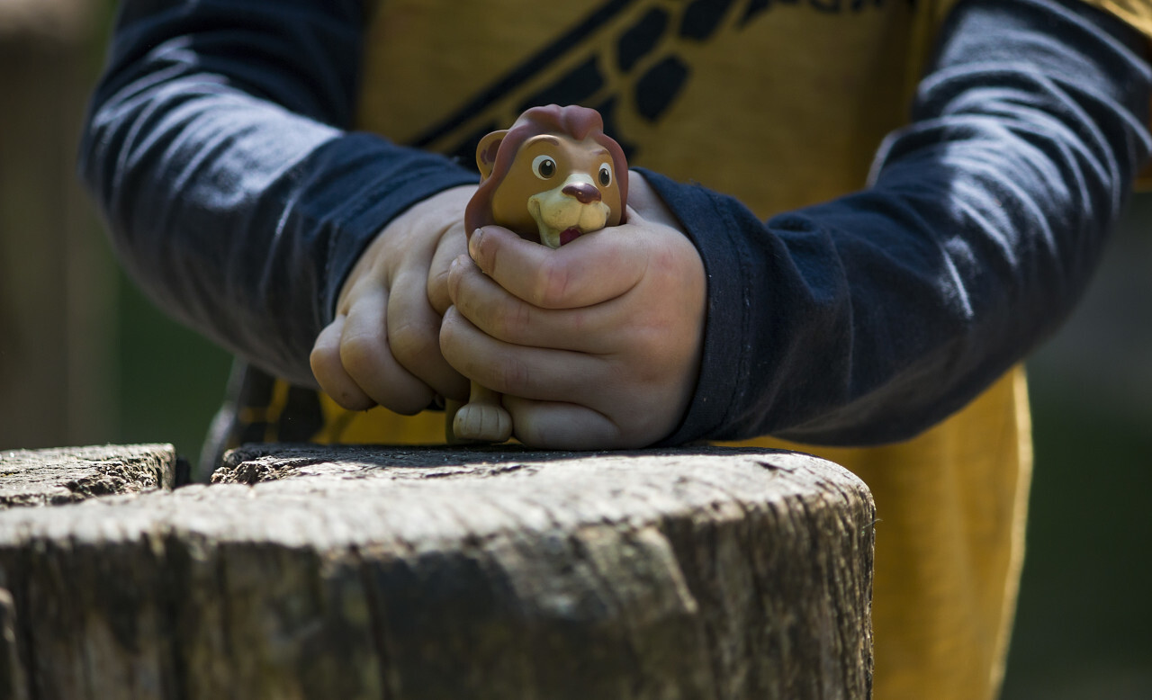 child plays with toy lion