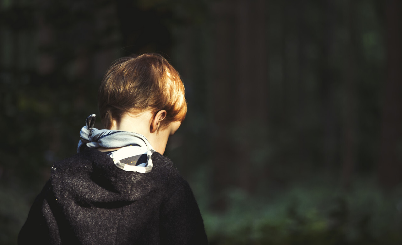 little boy in forest