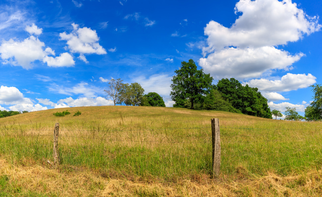 Fields in Summer - North Rhine Westphalia by Germany