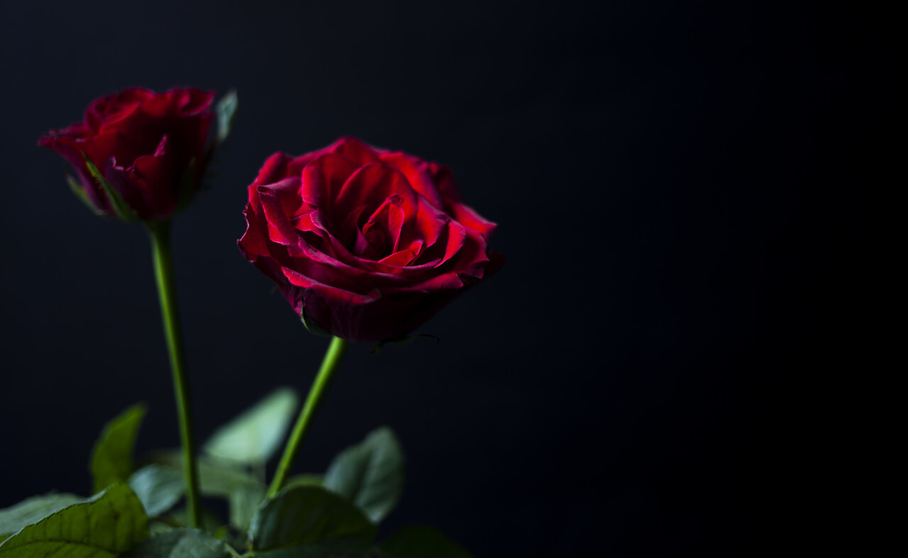 Closeup Of Valentine Candles Isolated On Red Background Stock