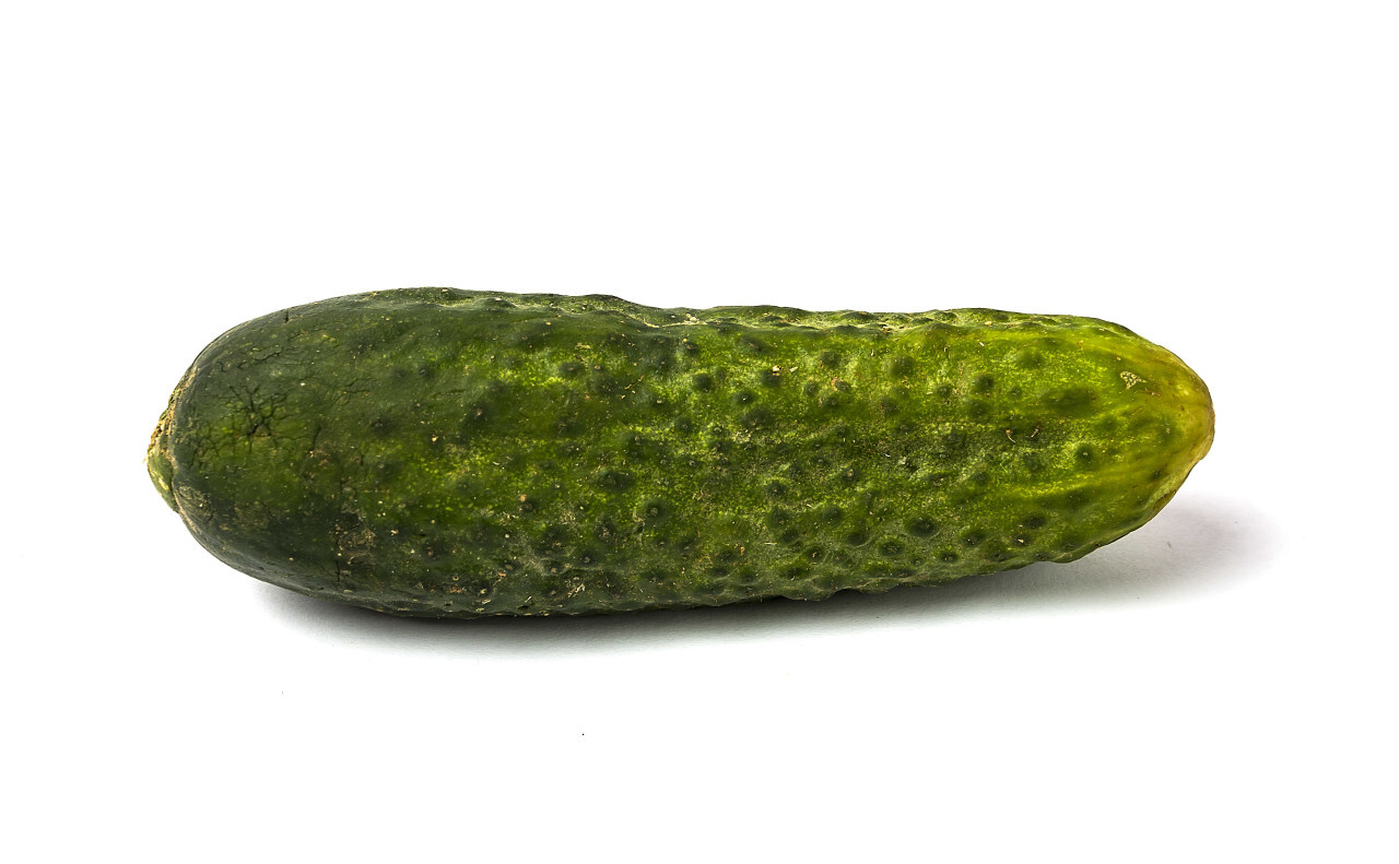 green gherkin isolated on white background