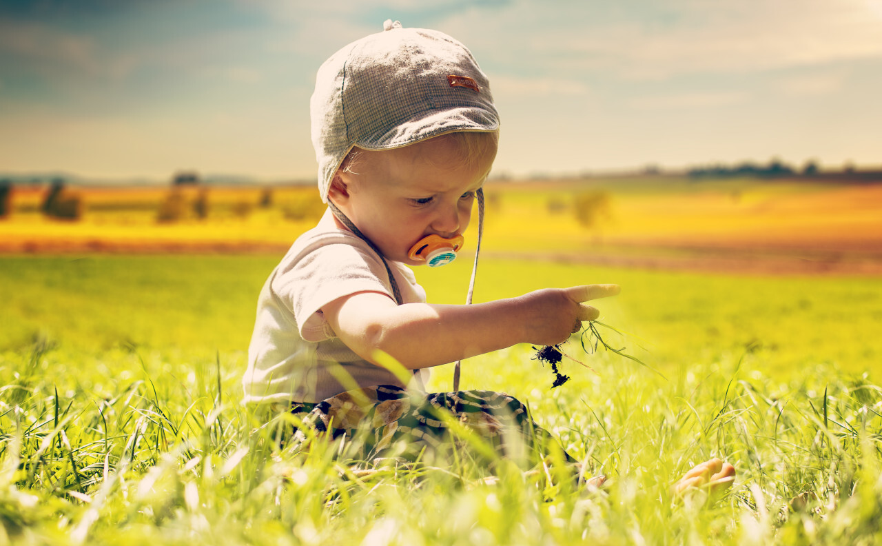 little baby child sitting on the fields with grass in his hand and a pacifier in his mouth