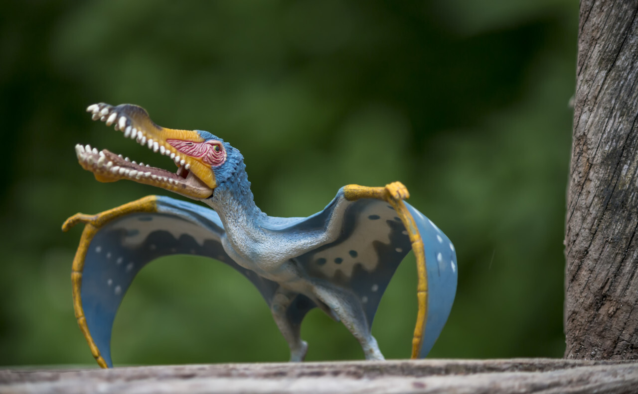 anhanguera dinosaur toy