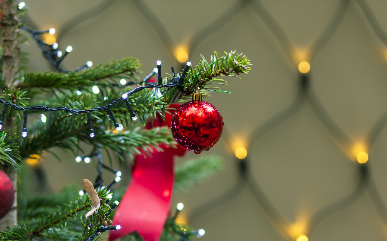 Christmas ball on christmas tree