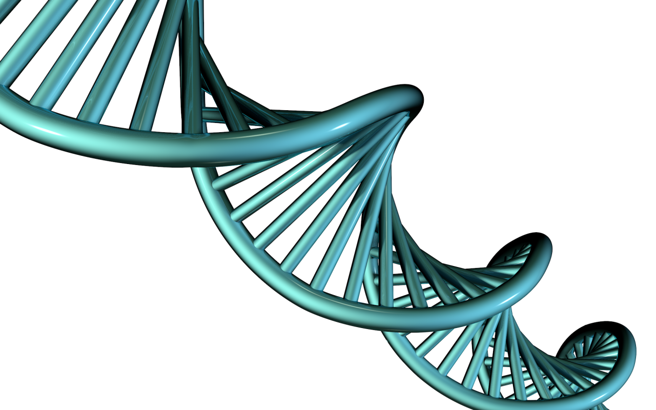 DNA PNG