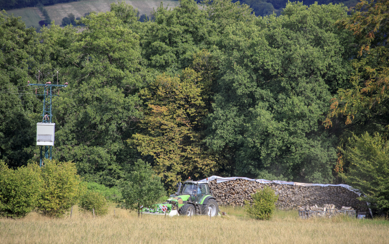 Tractor in a field harvests the grain