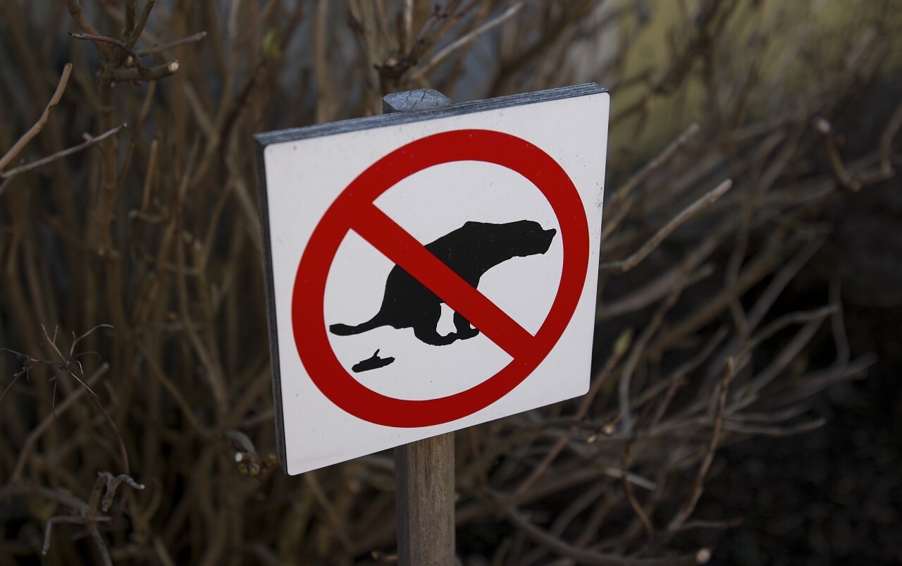 dogs forbidden sign
