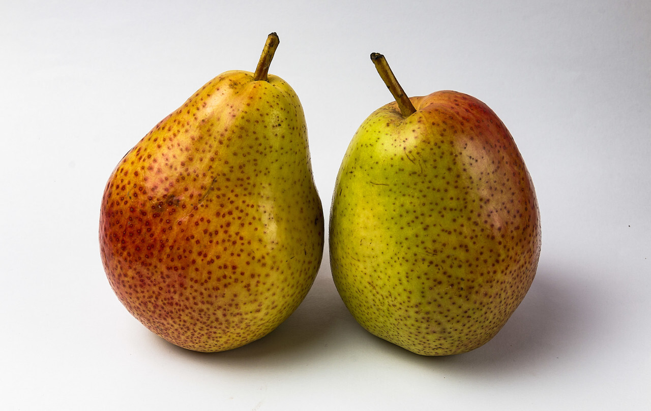 two pretty pears