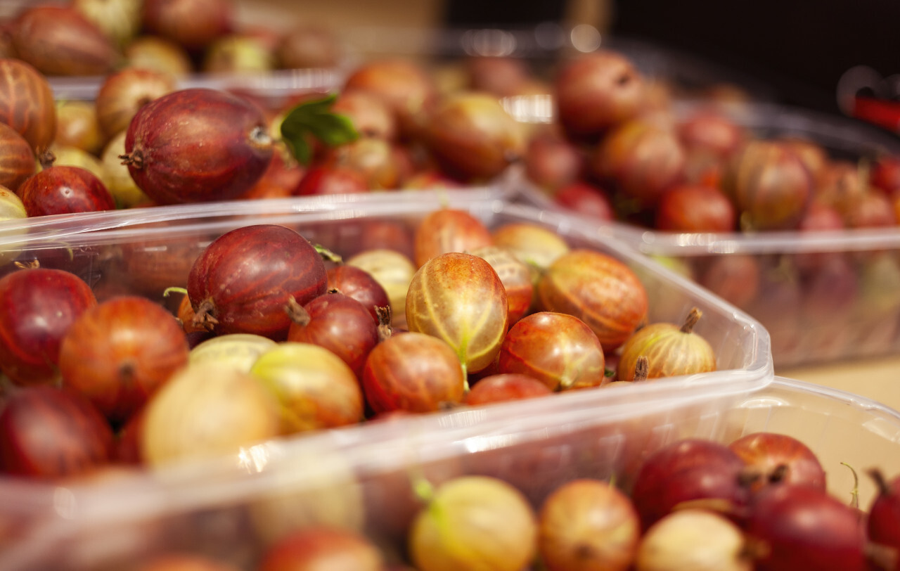 red gooseberries fresh from the market