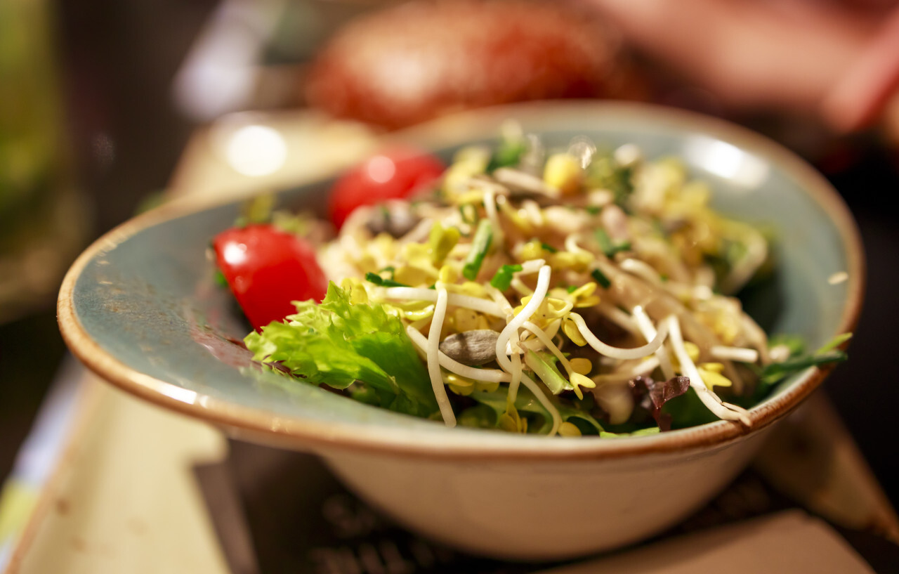 mixed salad in a bowl