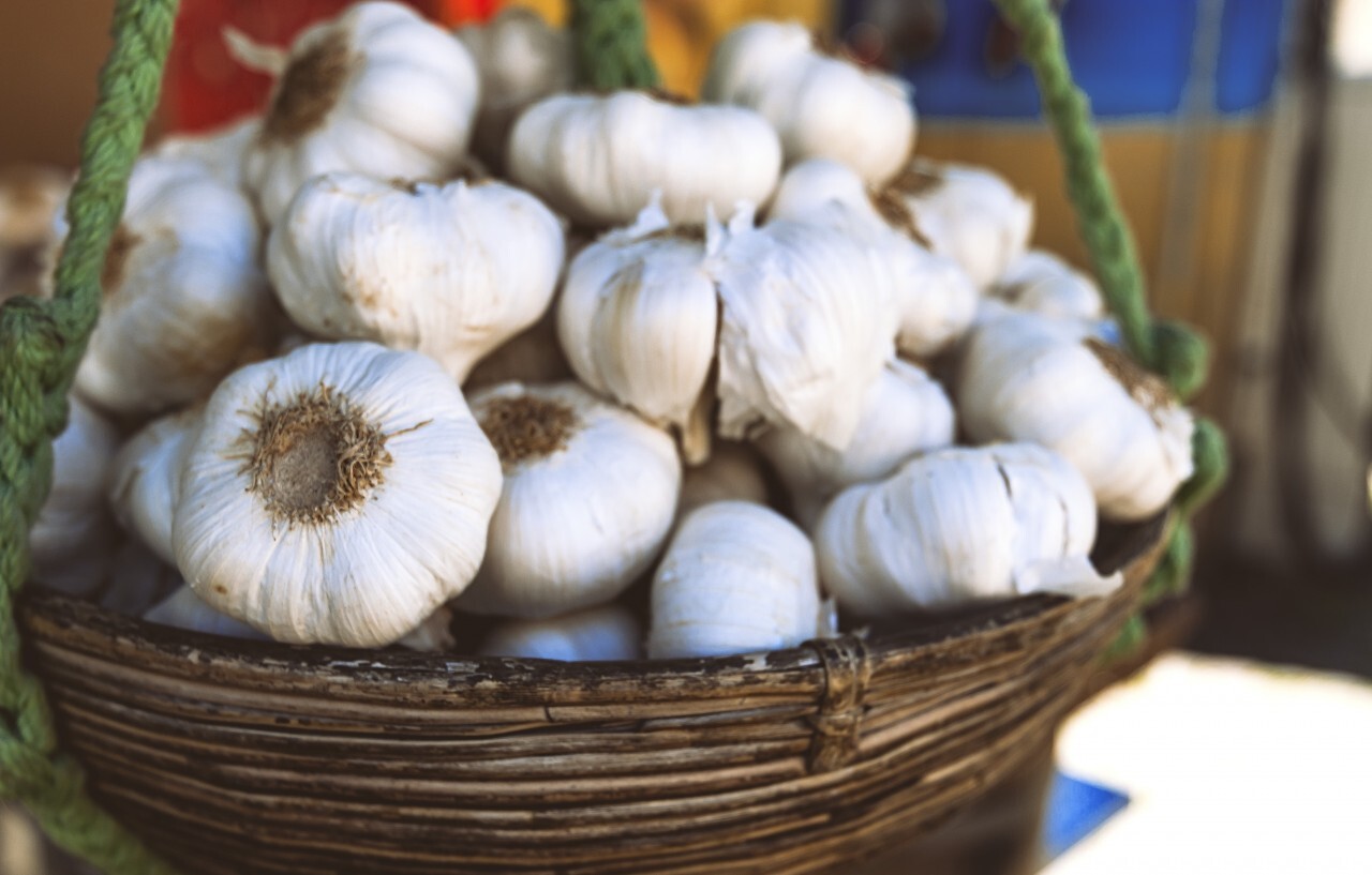 garlic cloves in a hanging basket