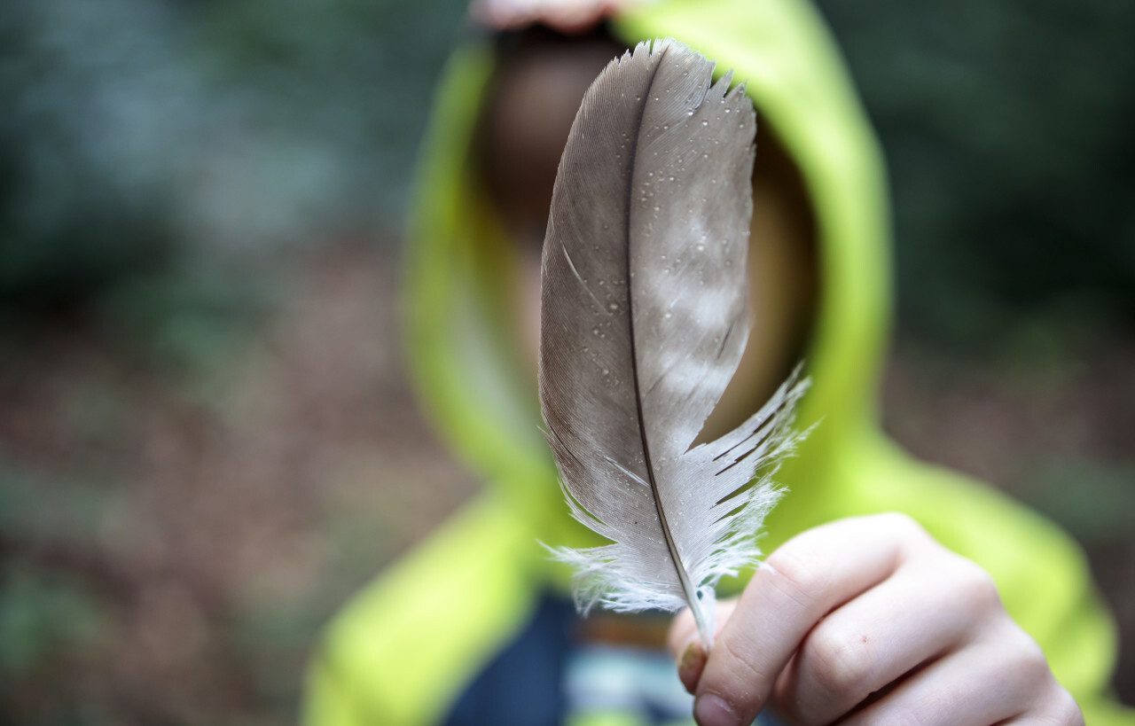 Little boy in rain gear holds a feather at the camera