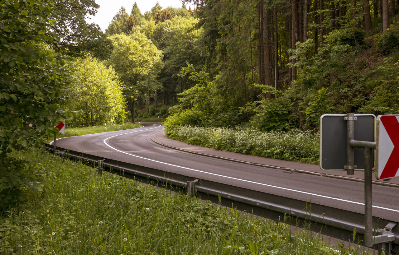 country road through the forest