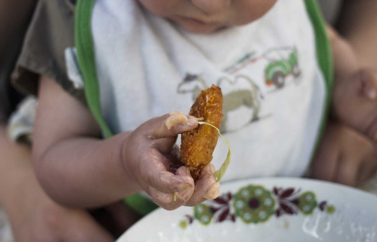 Baby girl eating a chicken wing