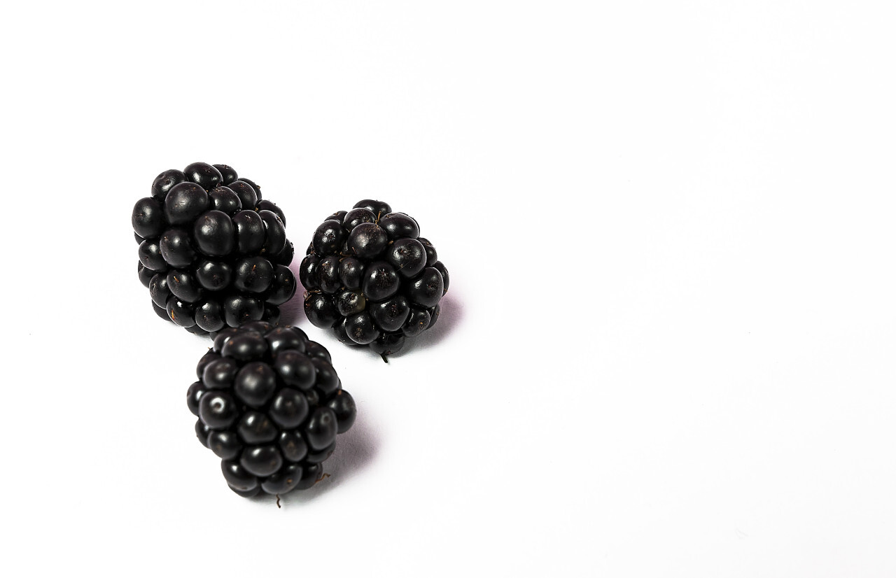 three blackberries white background