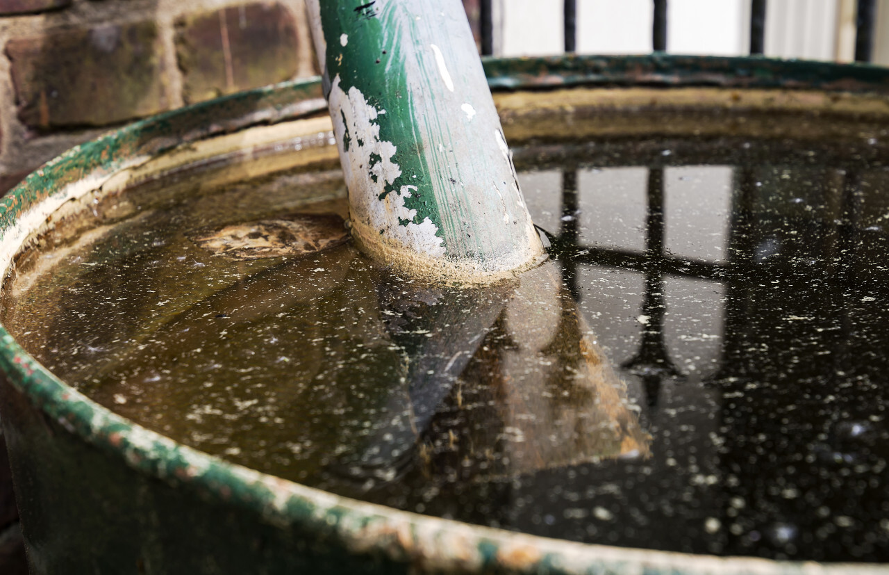 old green rain barrel